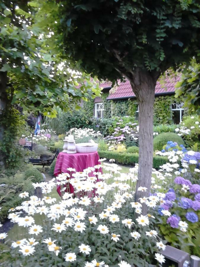 Ferienhaus Zaunkoenig Eversmeer Zewnętrze zdjęcie